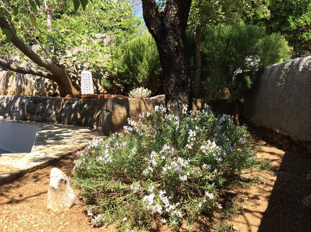 Holiday Home Cesarica Karlobag Εξωτερικό φωτογραφία
